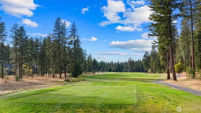 a view of a playground