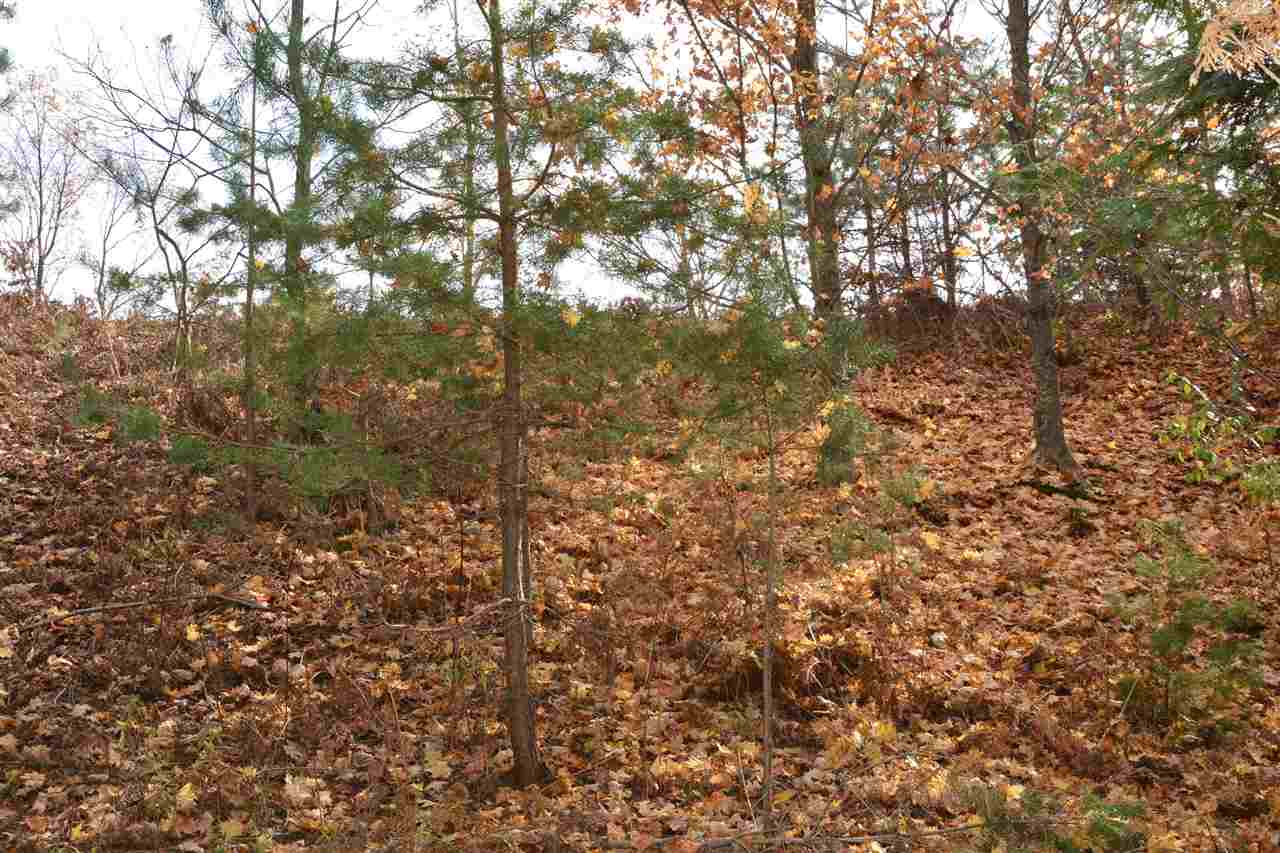 8205 South Maple City Road Maple City, MI 49664 - Photo 23 of 59 1869373-22.JPG