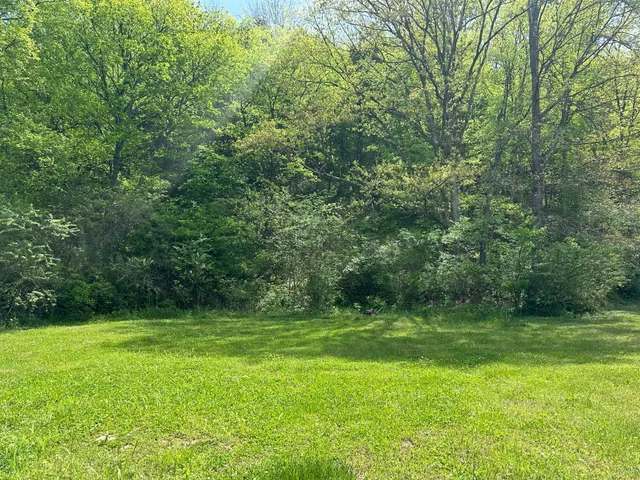 a view of a green field with trees
