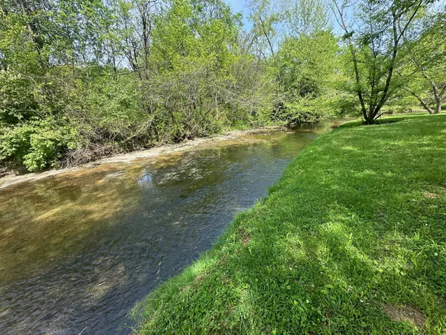 a view of a green yard with large trees