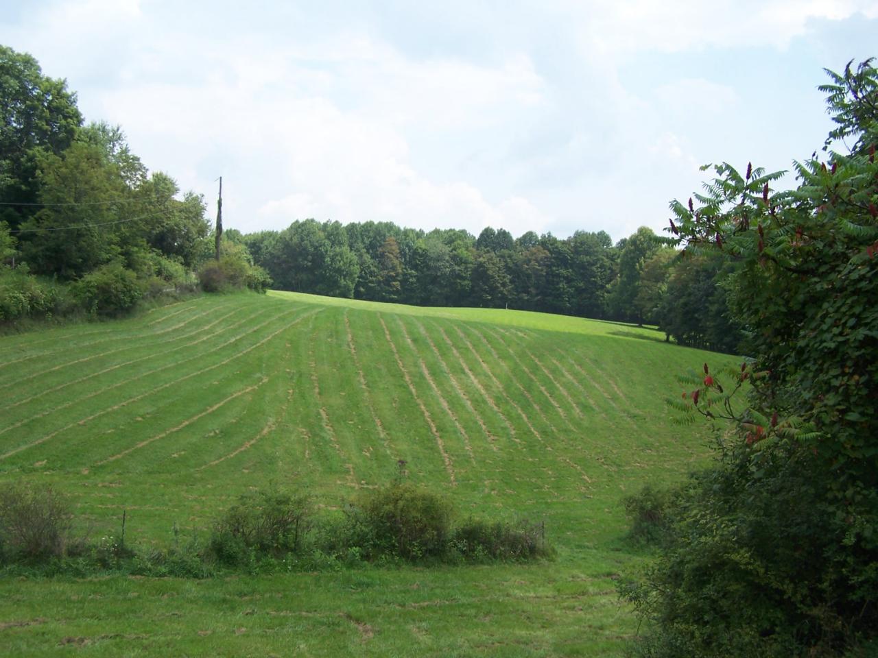 2 Rt Alderson, WV 24910 - Photo 15 of 19 Fields on property