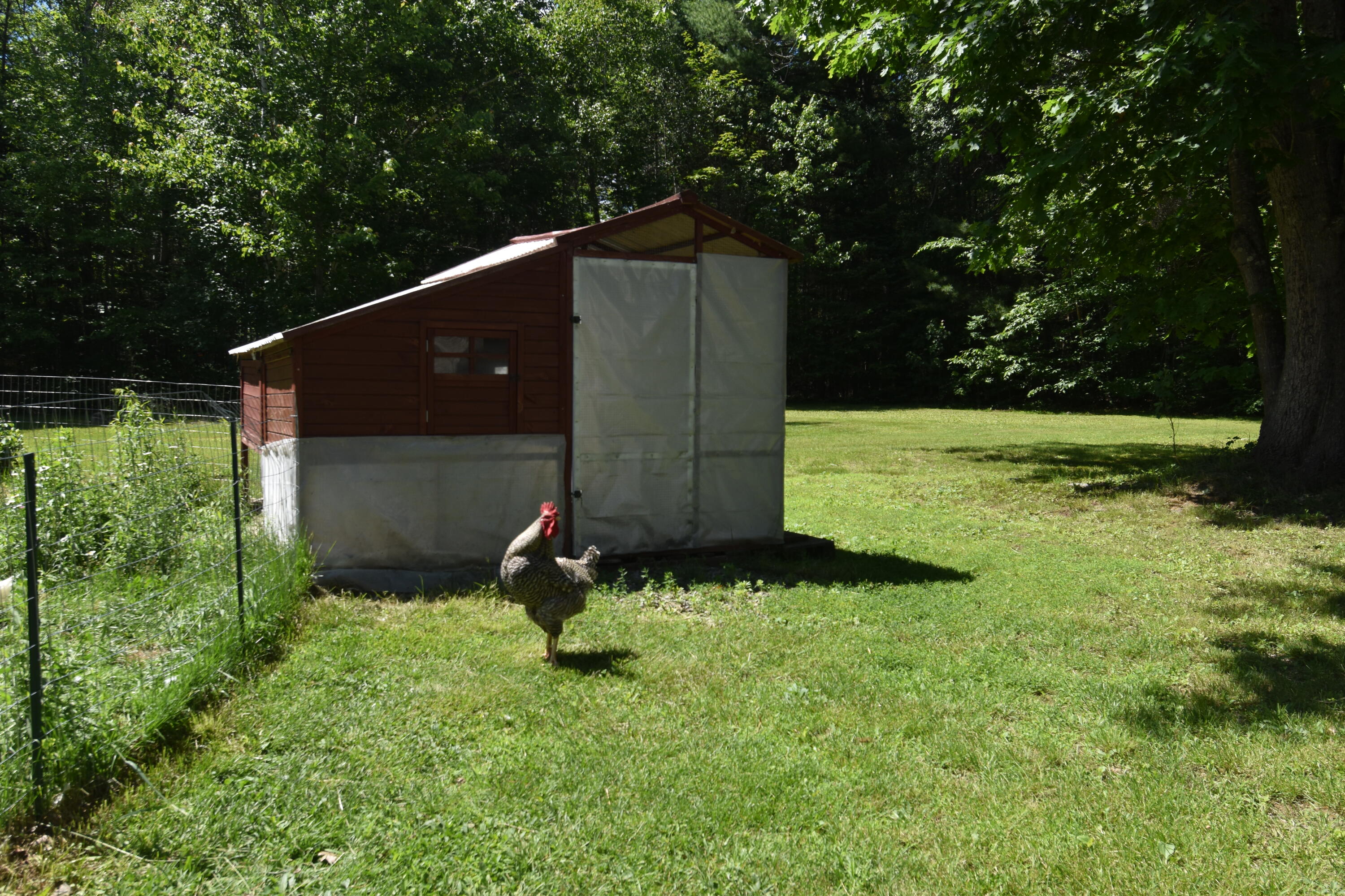 64 Bragg Road Detroit, ME 04929 - Photo 22 of 26 DSC_0399