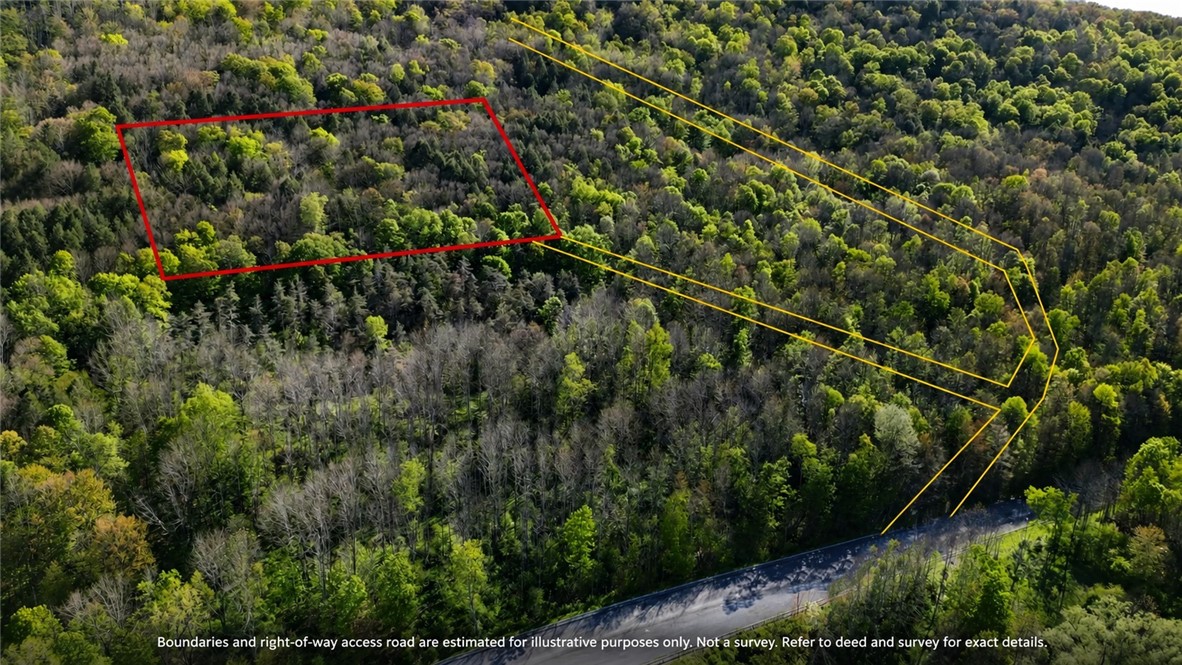 Lot 5 East River Road Andes, NY 13731 - Photo 5 of 39