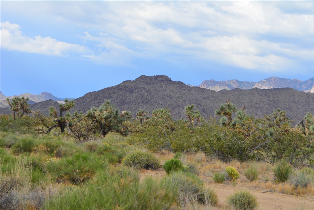 11719 Duncan Road Yucca, AZ 86438 - Photo 12 of 56 View