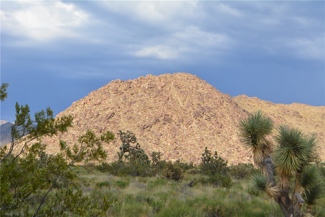 11719 Duncan Road Yucca, AZ 86438 - Photo 13 of 56 View