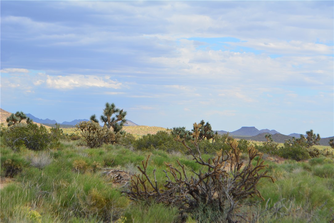 11719 Duncan Road Yucca, AZ 86438 - Photo 18 of 56 View