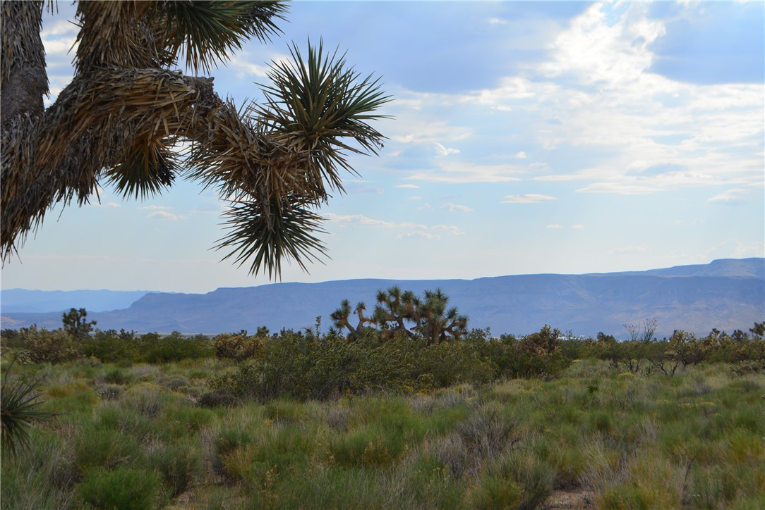 11719 Duncan Road Yucca, AZ 86438 - Photo 24 of 56 View