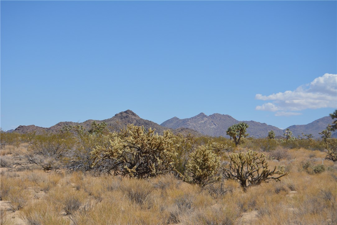 11719 Duncan Road Yucca, AZ 86438 - Photo 28 of 56 View