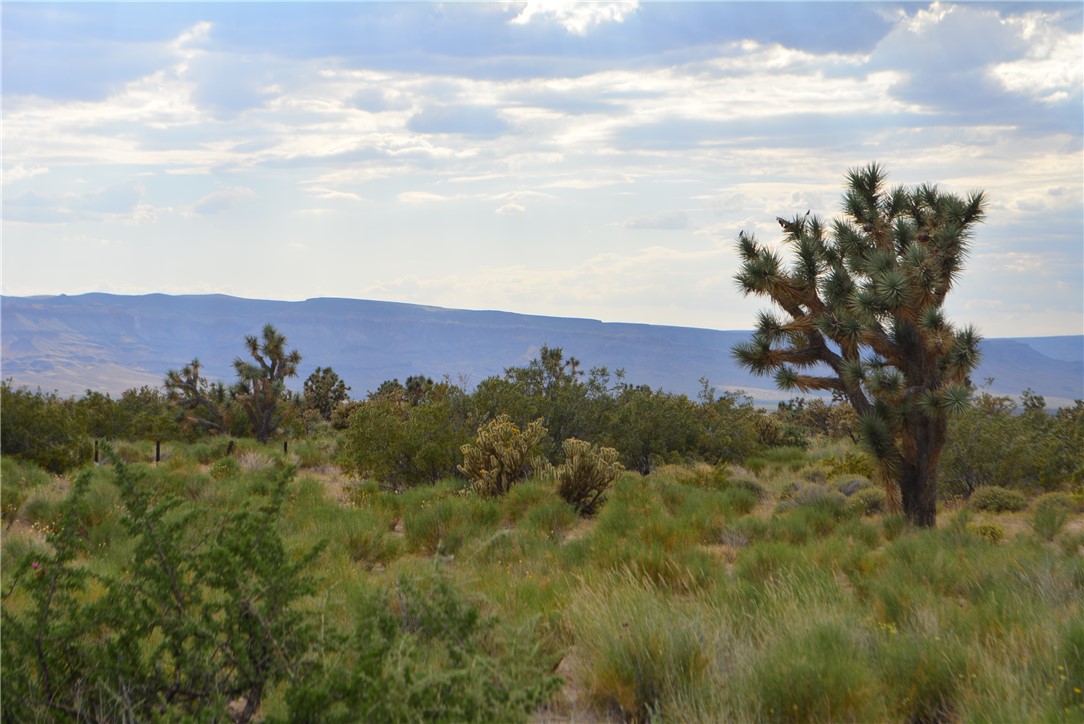 11719 Duncan Road Yucca, AZ 86438 - Photo 3 of 56 View