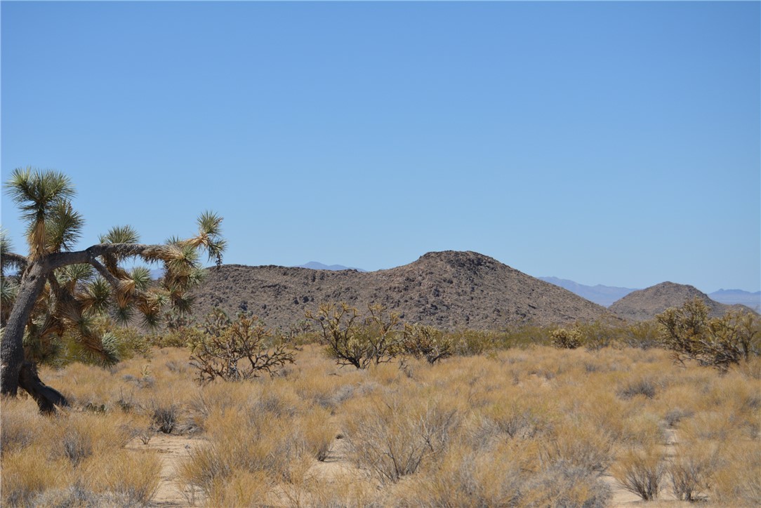 11719 Duncan Road Yucca, AZ 86438 - Photo 36 of 56 View