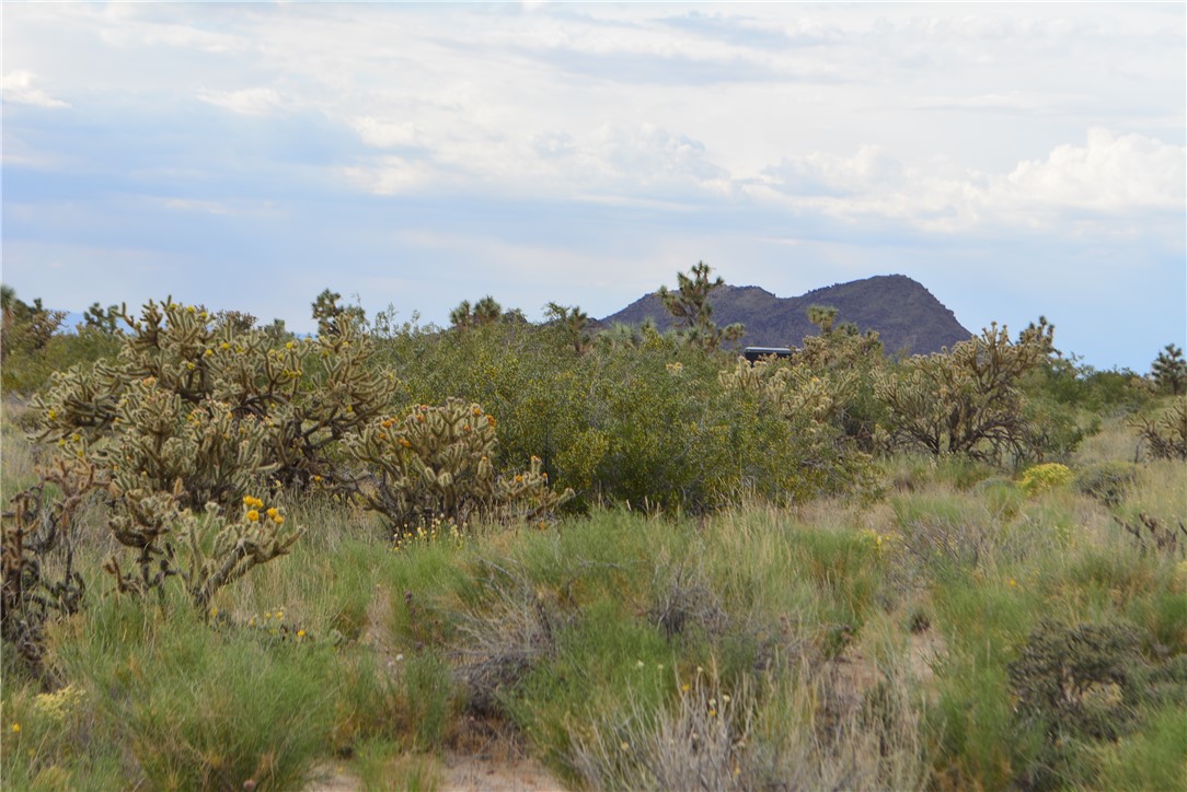 11719 Duncan Road Yucca, AZ 86438 - Photo 7 of 56 View