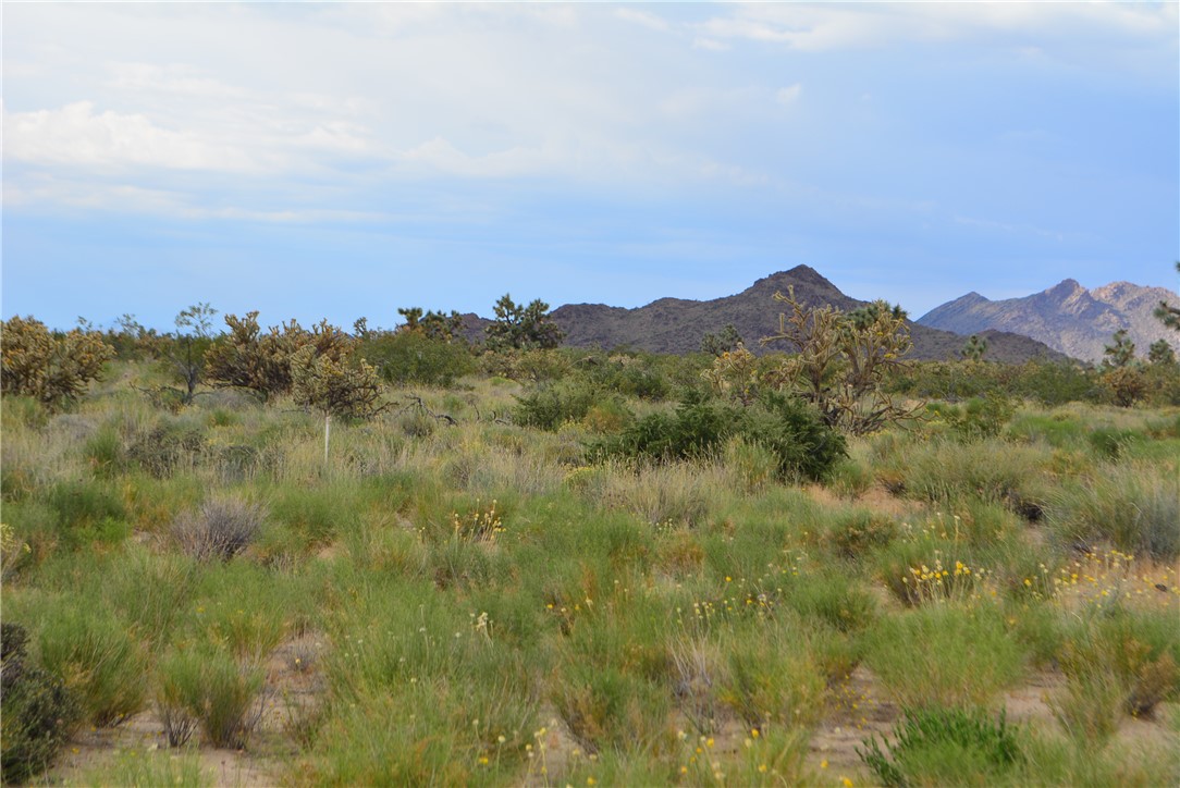 11719 Duncan Road Yucca, AZ 86438 - Photo 9 of 56 View