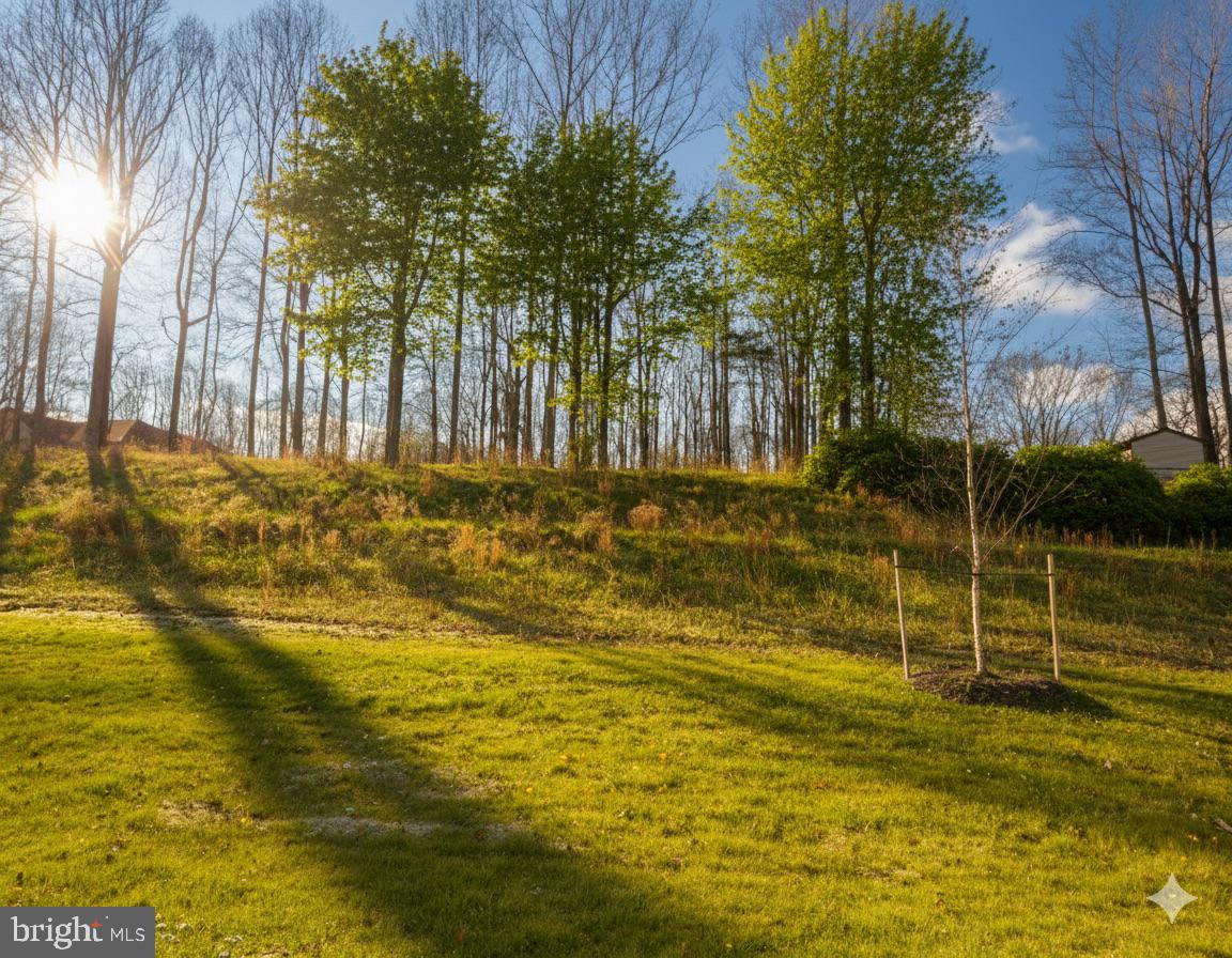 1817 Colt Lane Frederick, MD 21702 - Photo 35 of 43 a view of a yard with swimming pool