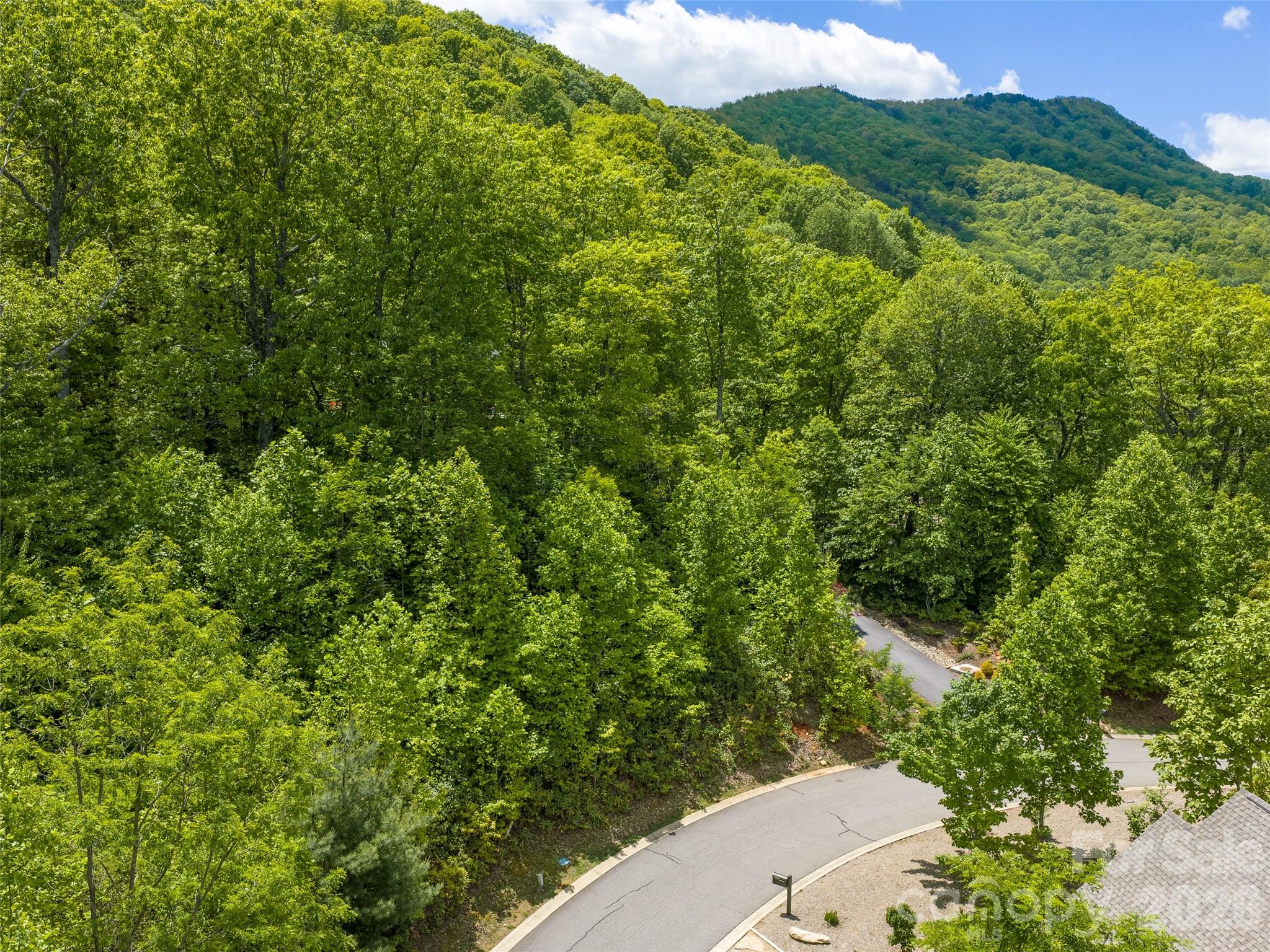 9 Crockett Ridge Road Black Mountain, NC 28711 - Photo 2 of 17