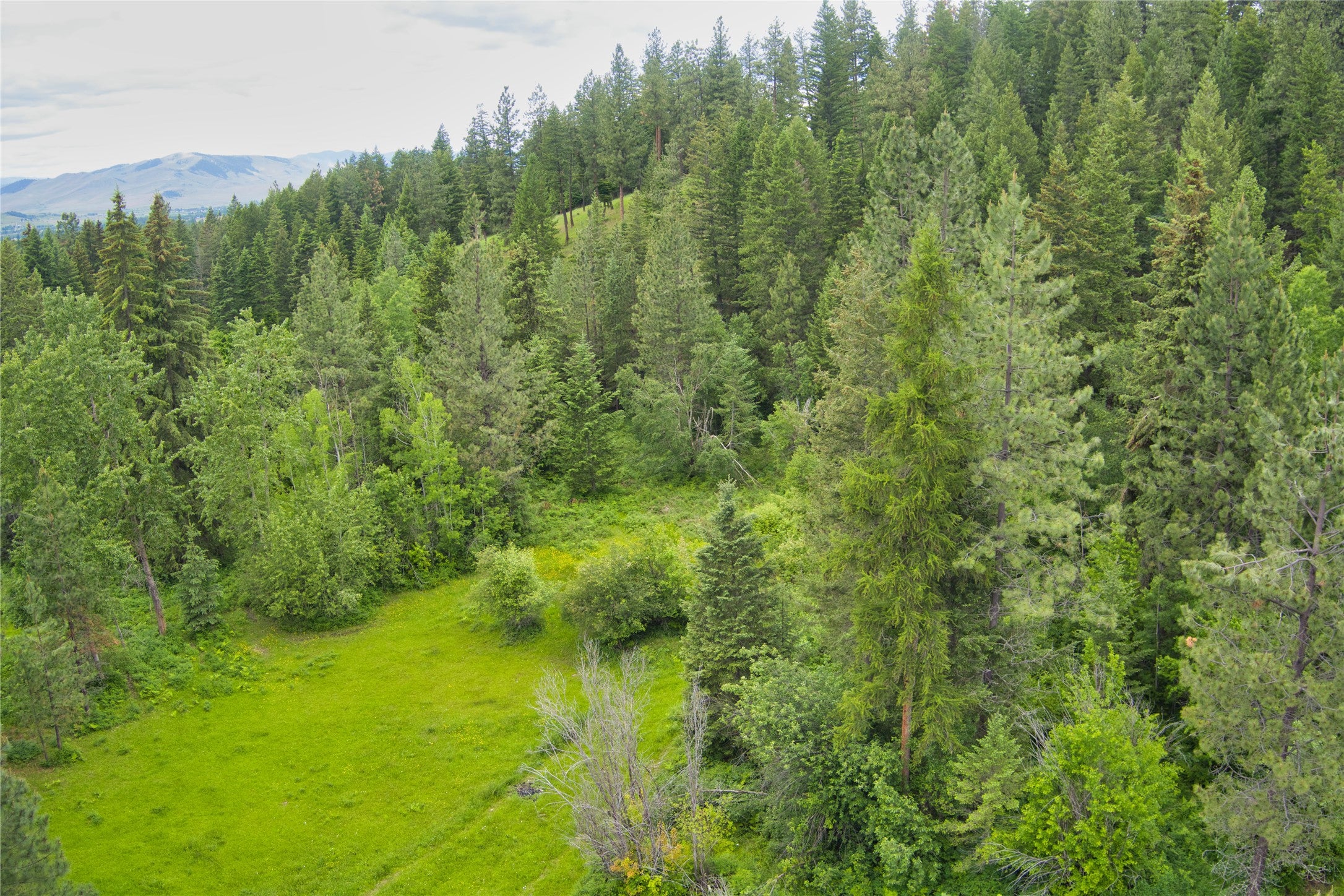 30632 Mission Creek Road St. Ignatius, MT 59865 - Photo 27 of 37 Gallery Image 27