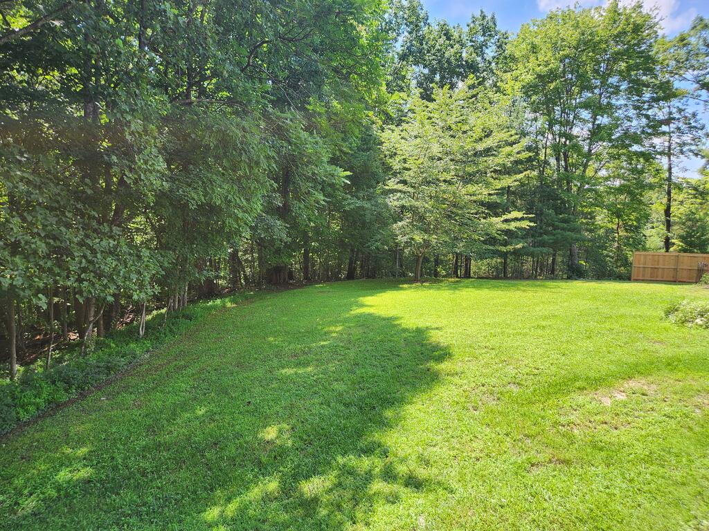 381 Creek Valley Road Stuart, VA 24171 - Photo 21 of 25 Gallery Image 21