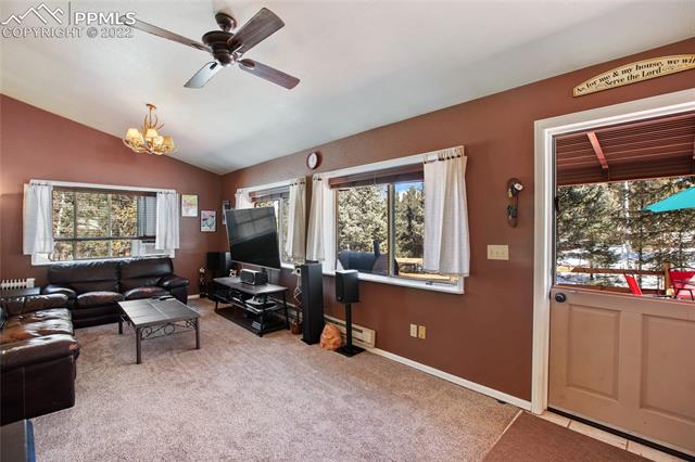 117 Wayward Wind Road Divide, CO 80814 - Photo 10 of 38 Gallery Image 10