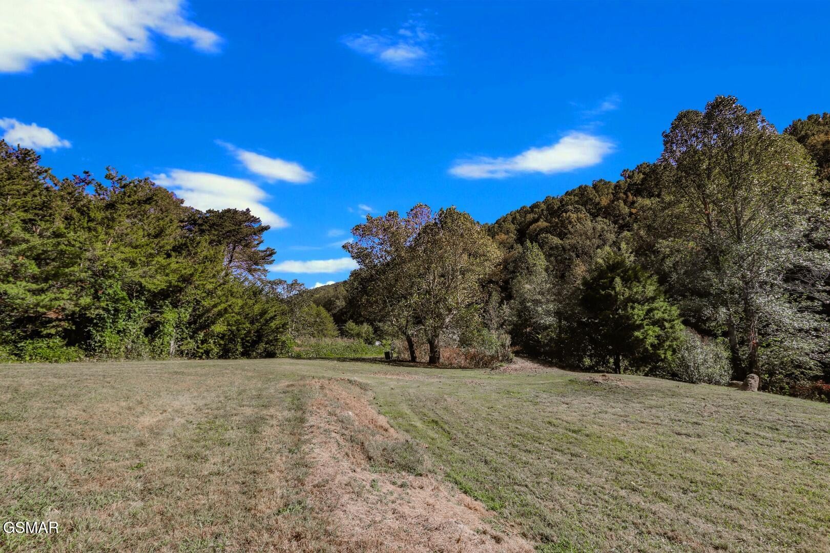 2409 Perilla Road Cosby, TN 37722 - Photo 19 of 50 Gallery Image 19