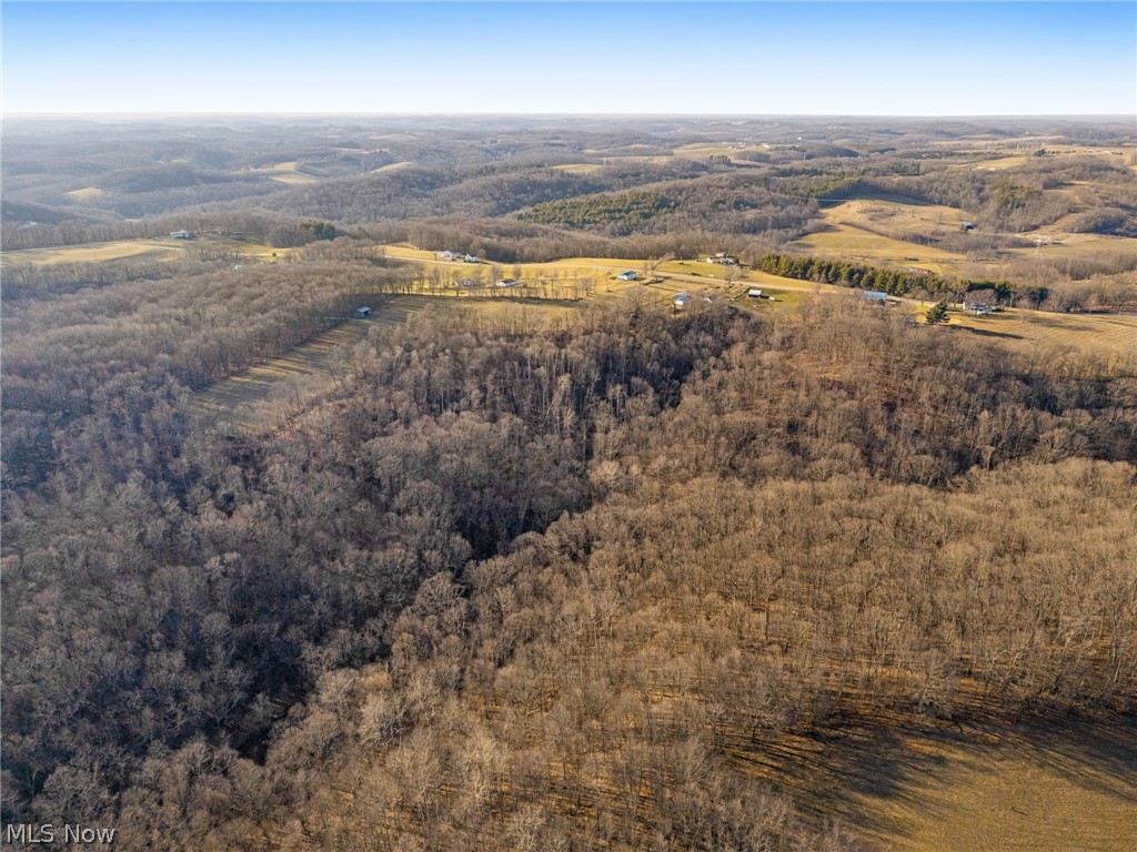 3188 Amsterdam Road Southeast Scio, OH 43988 - Photo 39 of 41 wooded acreage