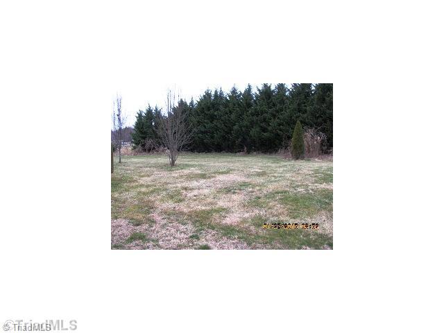 107 Rendezvous Mountain Road Purlear, NC 28665 - Photo 11 of 12 Yard/Garden.