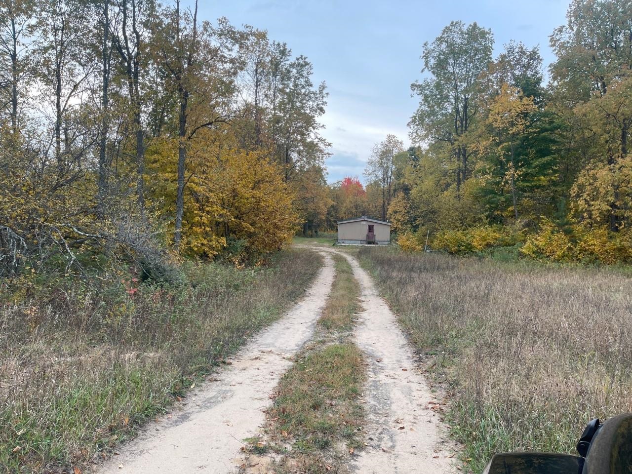 18645 Psutka Road Thompsonville, MI 49683 - Photo 5 of 10