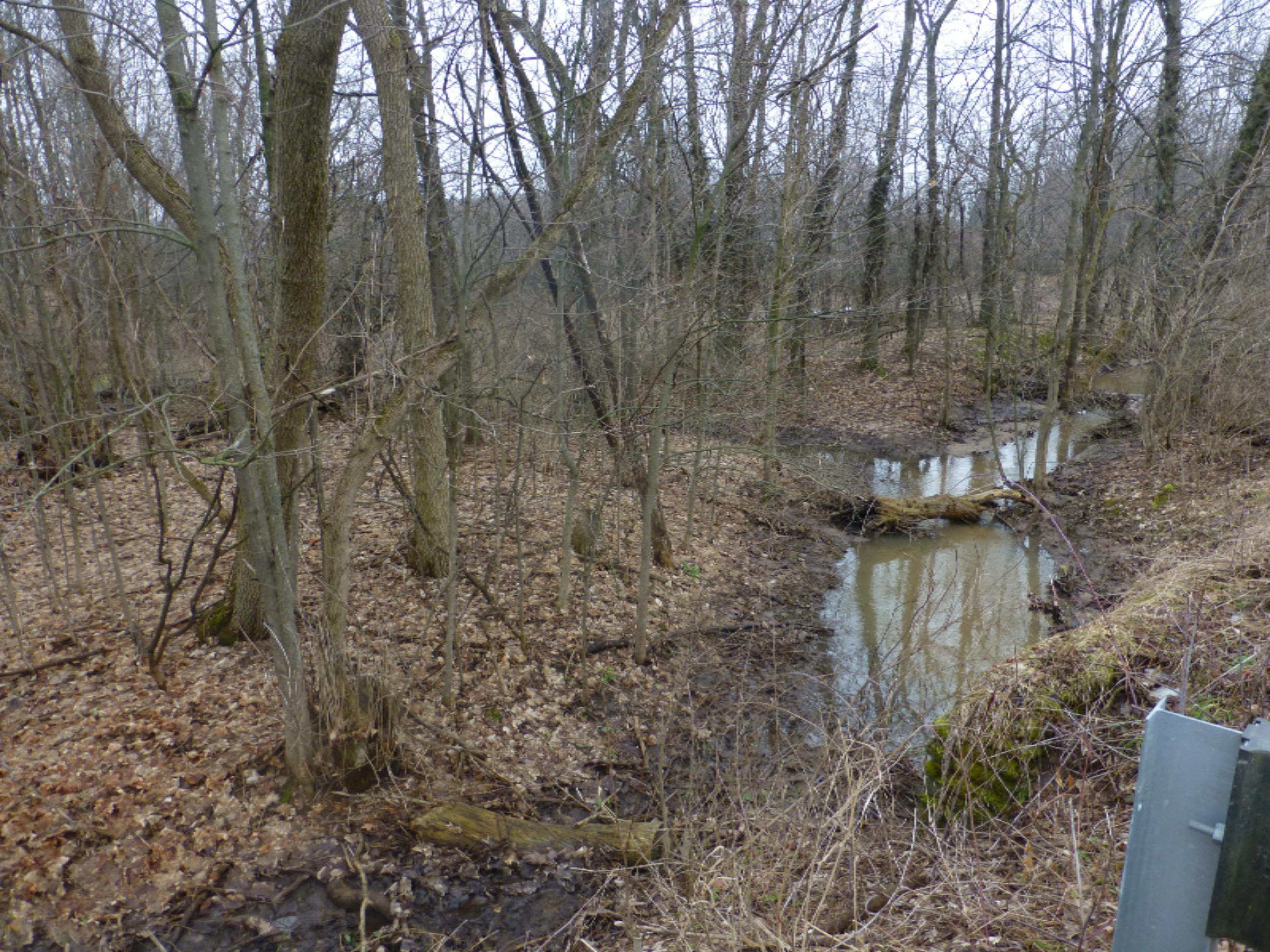 West Kistler Road Scottville, MI 49454 - Photo 12 of 16 P1060802