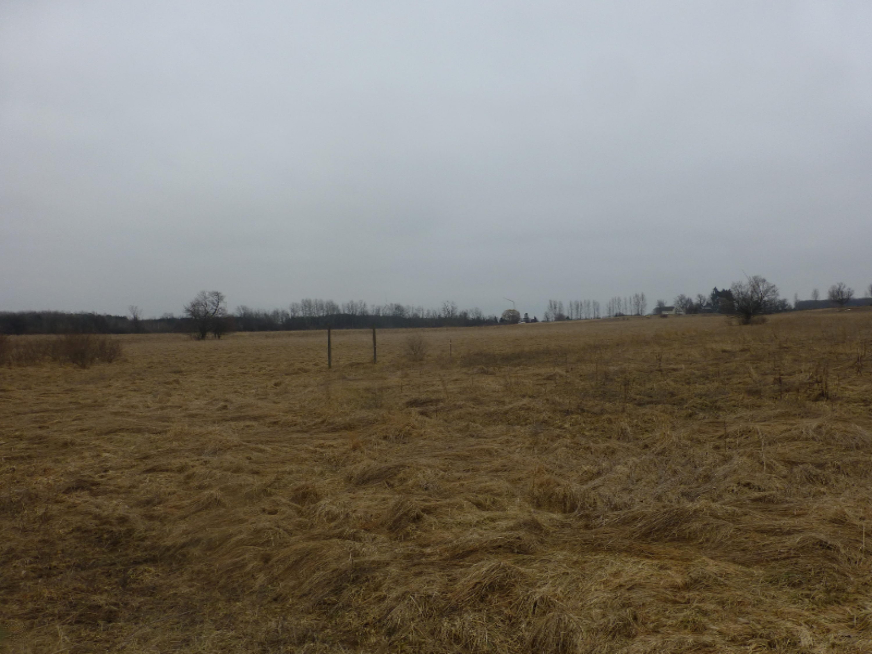 West Kistler Road Scottville, MI 49454 - Photo 8 of 16 P1060794
