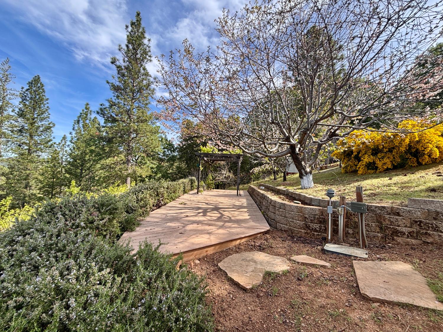 10285 Ponderosa Way Jackson, CA 95642 - Photo 4 of 84
