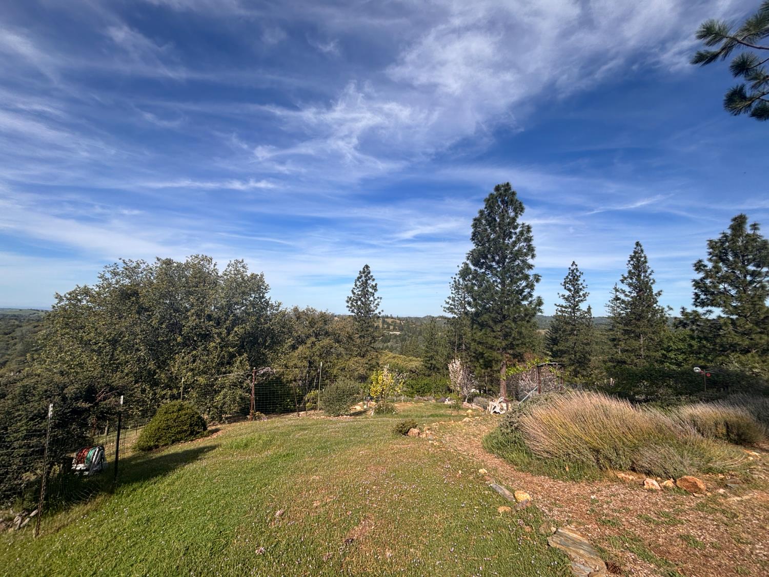 10285 Ponderosa Way Jackson, CA 95642 - Photo 48 of 84 a view of a yard with trees in the background
