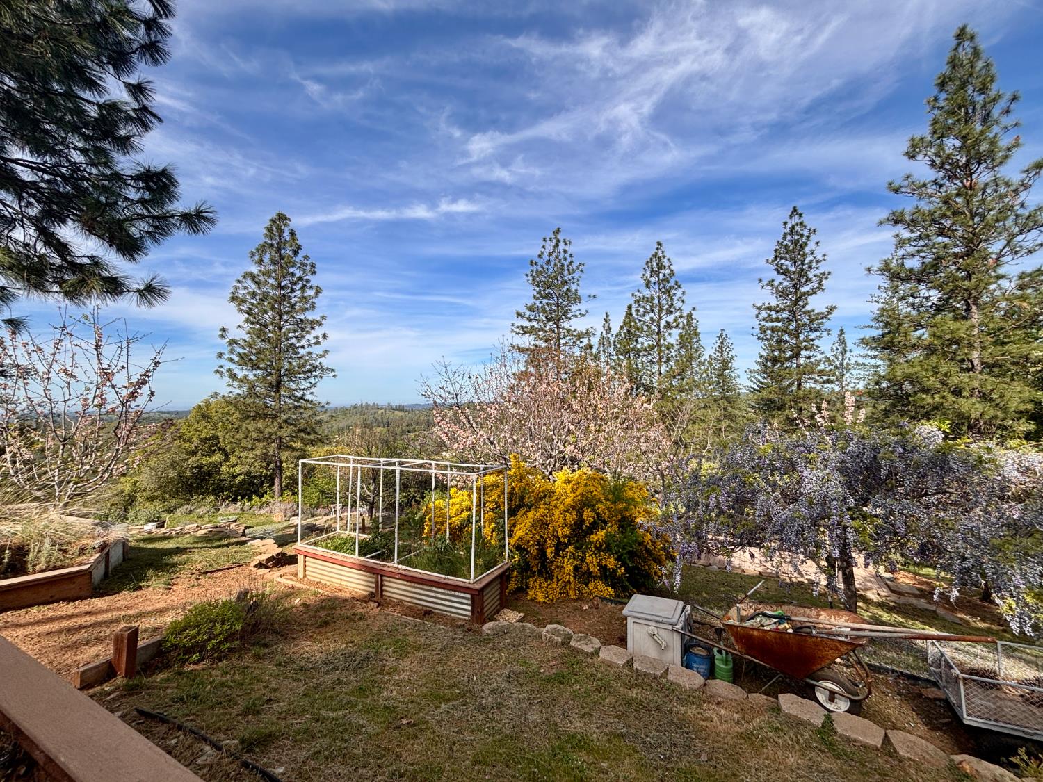 10285 Ponderosa Way Jackson, CA 95642 - Photo 49 of 84