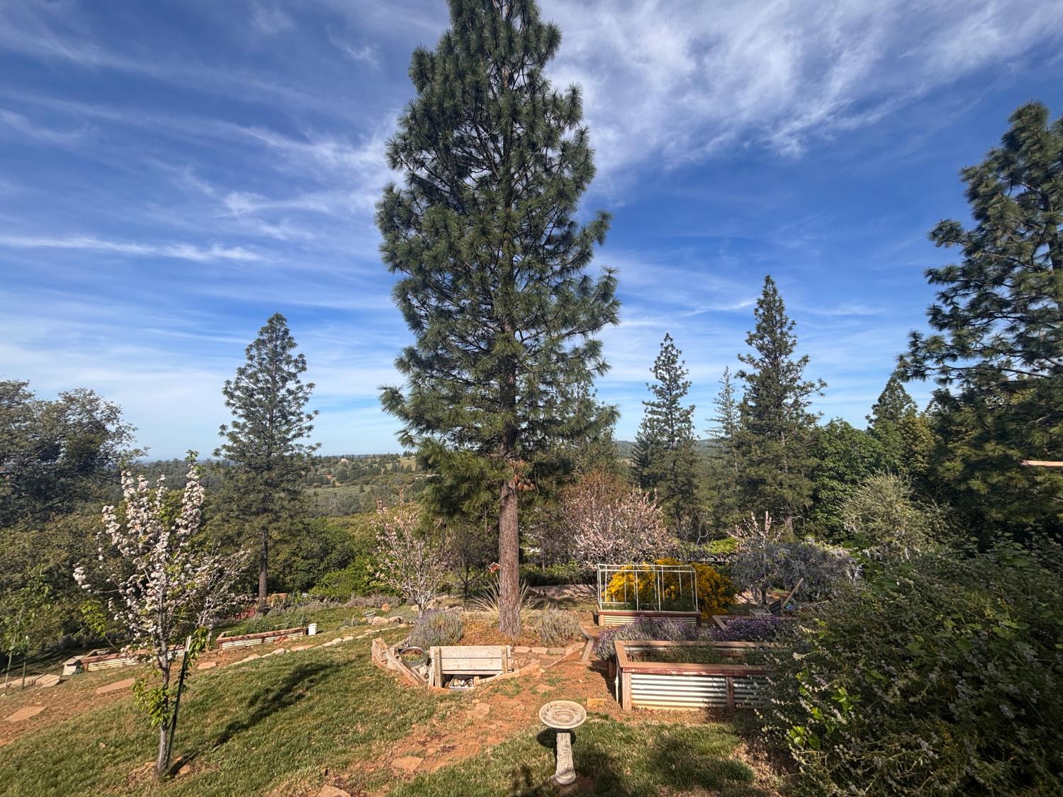 10285 Ponderosa Way Jackson, CA 95642 - Photo 52 of 84 a view of a city