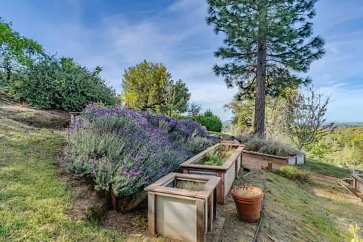 $579,999 | 10285 Ponderosa Way, Jackson, CA 95642