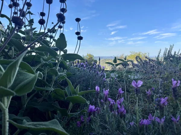 $579,999 | 10285 Ponderosa Way, Jackson, CA 95642