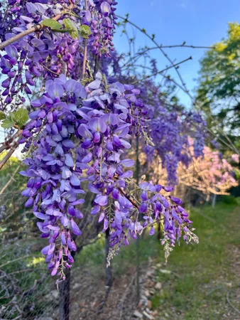 $579,999 | 10285 Ponderosa Way, Jackson, CA 95642