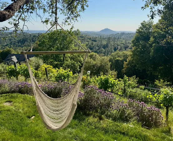 $579,999 | 10285 Ponderosa Way, Jackson, CA 95642