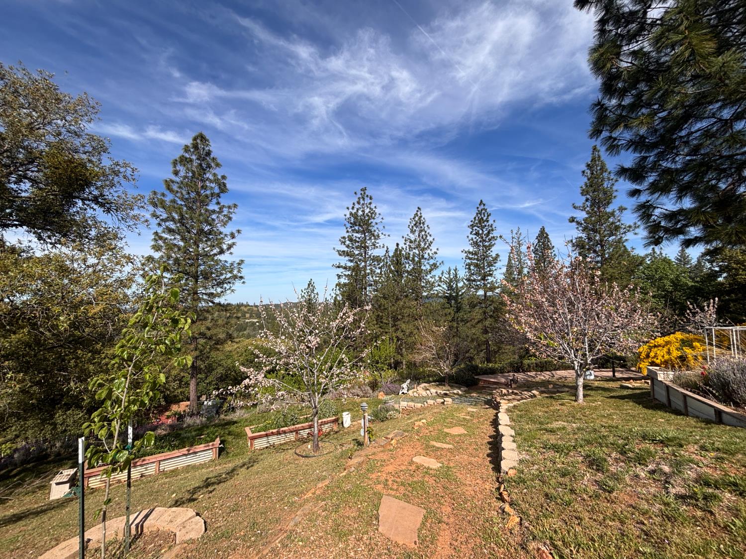 10285 Ponderosa Way Jackson, CA 95642 - Photo 67 of 84 a view of a yard with wooden fence