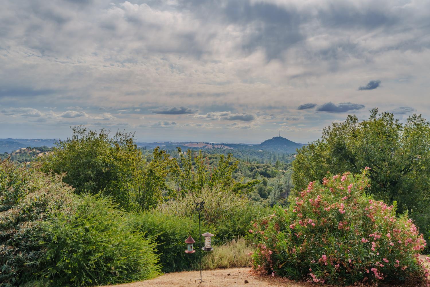 10285 Ponderosa Way Jackson, CA 95642 - Photo 79 of 84 Such beautiful views from this property