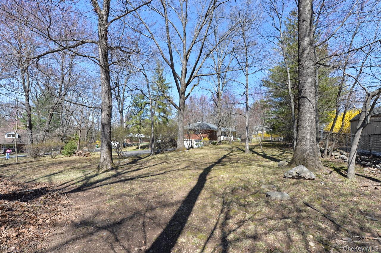 2 Augur Road Airmont, NY 10901 - Photo 6 of 34 a view of a yard with trees