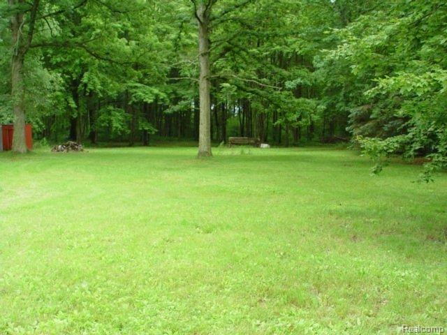6377 Lozon Road Marine City, MI 48039 - Photo 6 of 10 Yard2