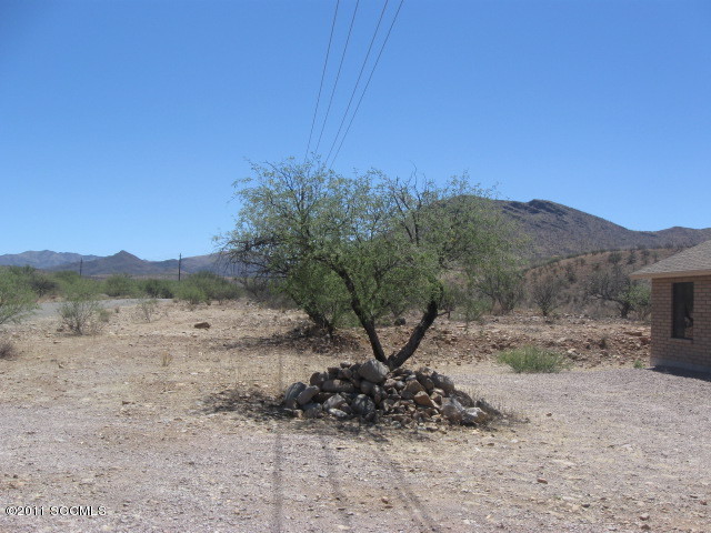 217 Avenida Pastor Rio Rico, AZ 85648 - Photo 11 of 11 a view of a dry yard with trees