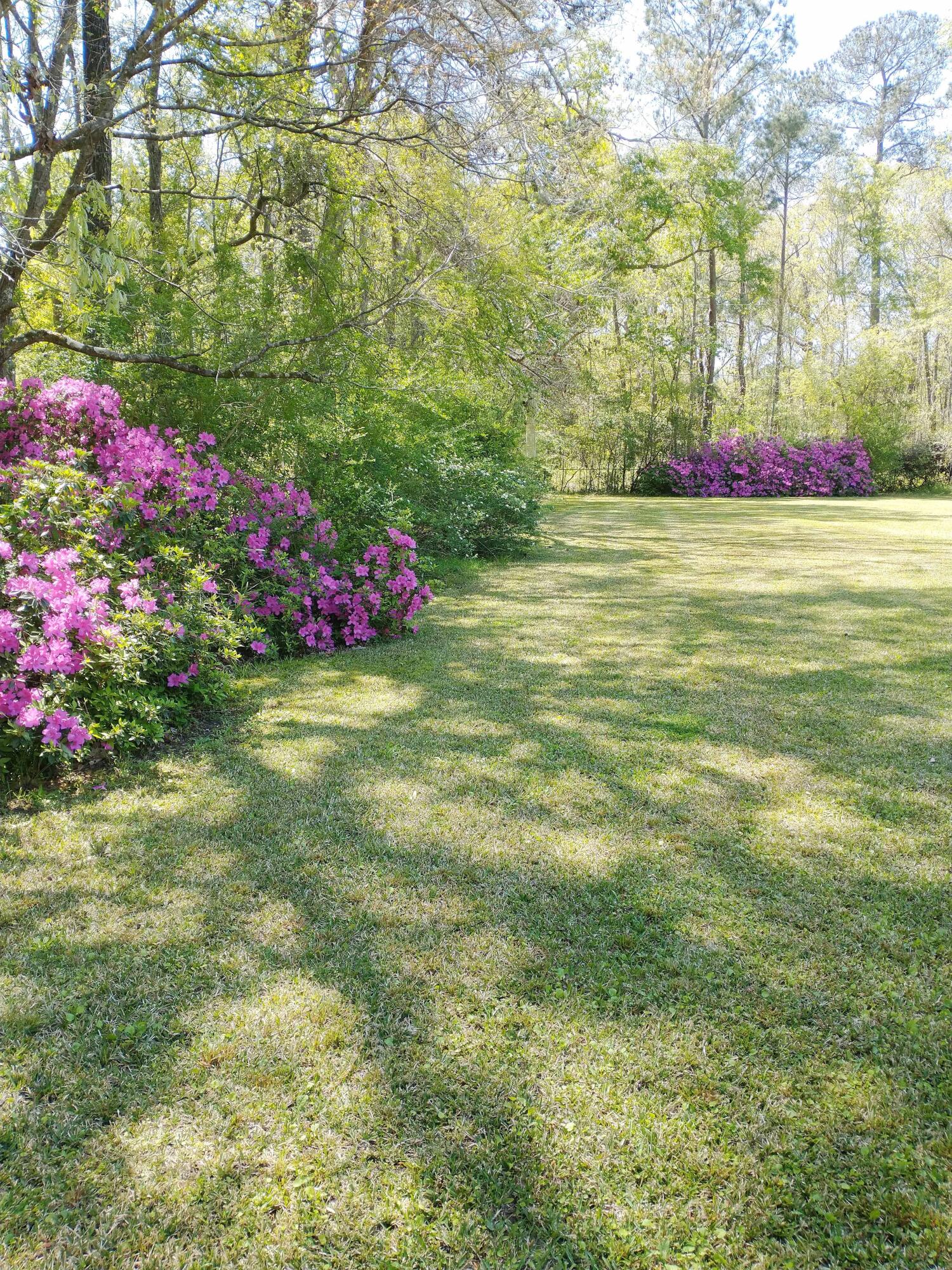 9432 Koester Road Ladson, SC 29456 - Photo 22 of 32 Side Yard
