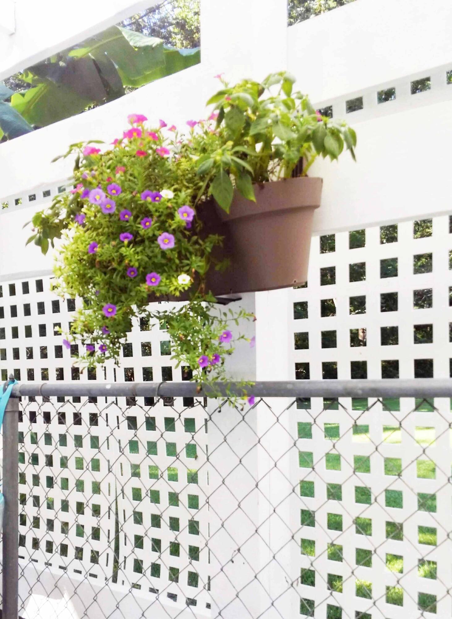 9432 Koester Road Ladson, SC 29456 - Photo 23 of 32 Pool Privacy Fence 2