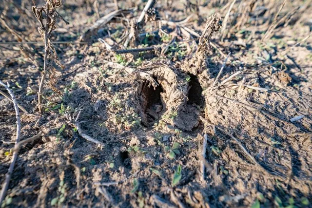 $383,775 | N North Buhler Road, Buhler, KS 67522