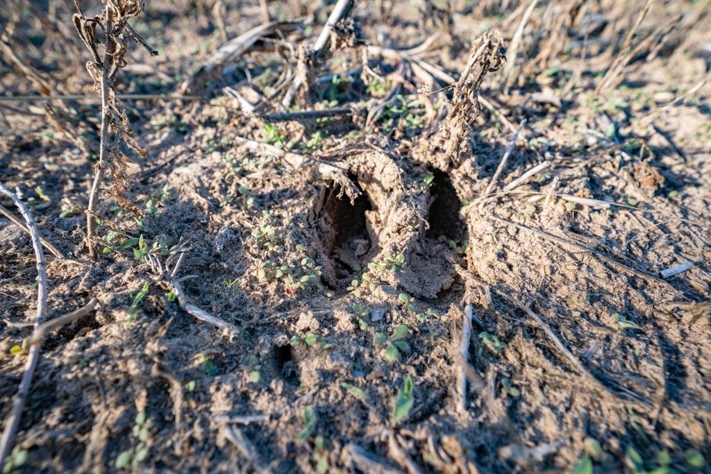 N North Buhler Road Buhler, KS 67522 - Photo 22 of 22