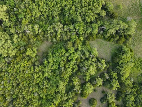 $383,775 | N North Buhler Road, Buhler, KS 67522