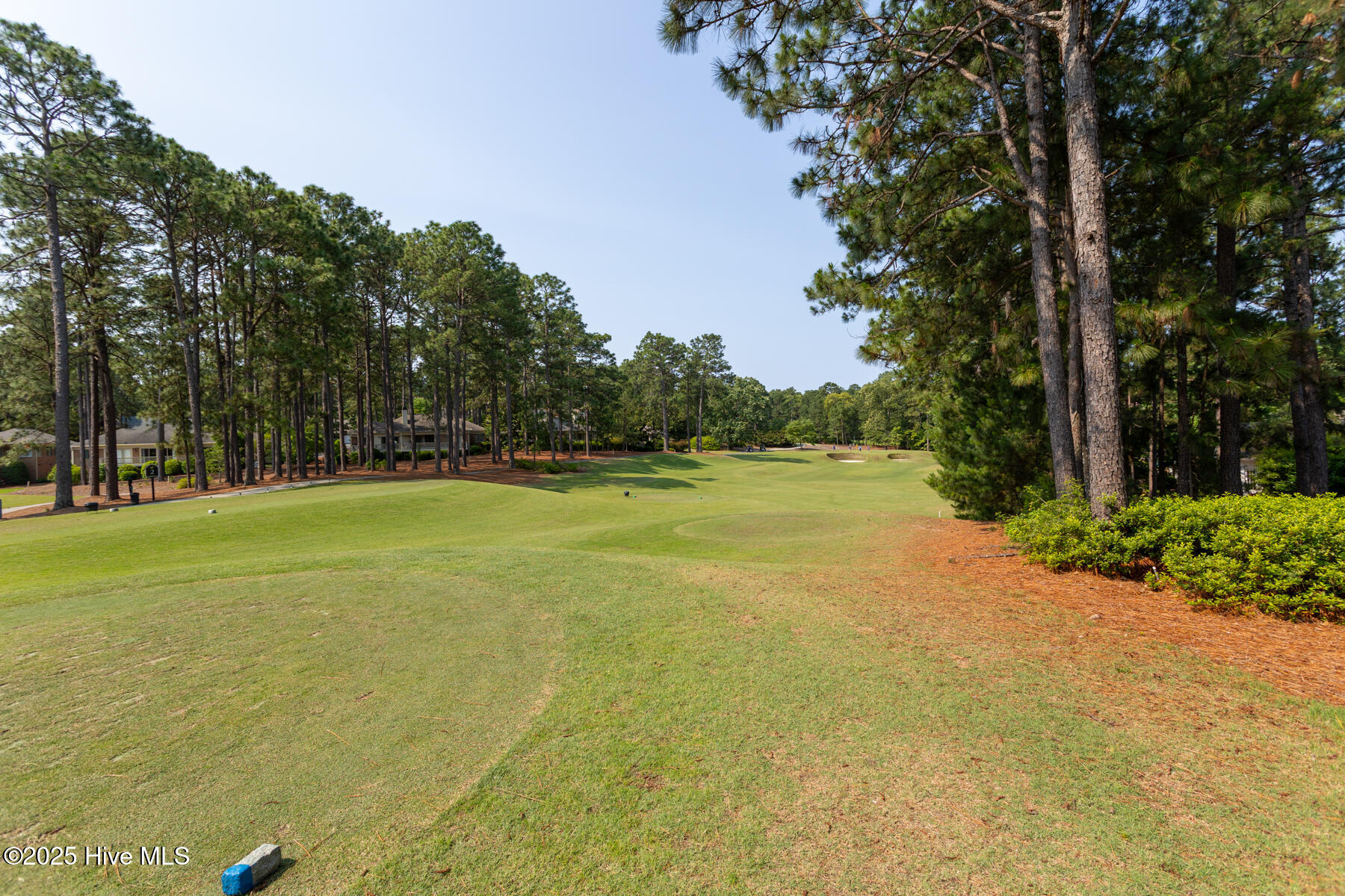 24 McNish Road Southern Pines, NC 28387 - Photo 37 of 41 back golf view