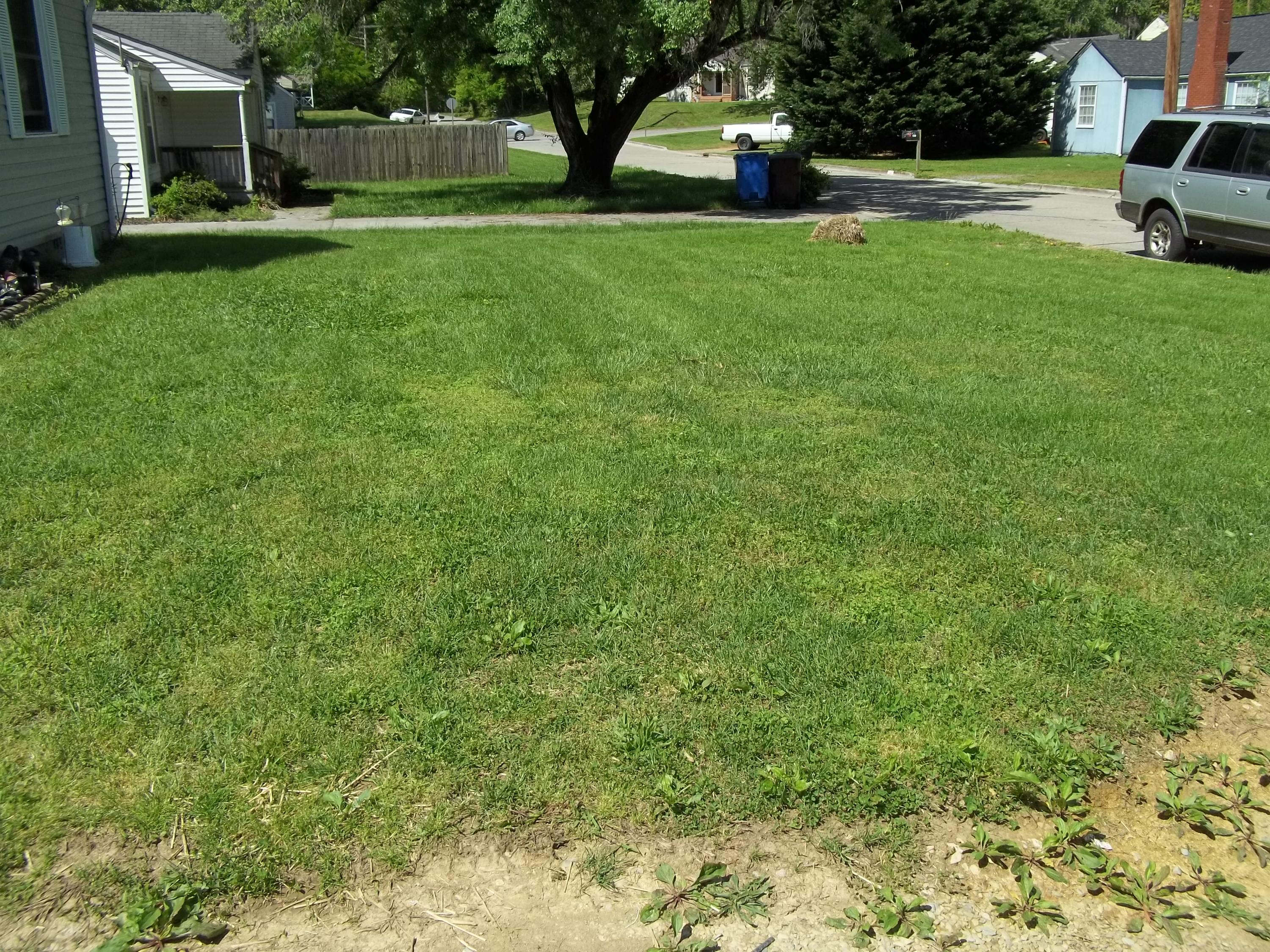 852 Brewster Road Alcoa, TN 37701 - Photo 15 of 17 front yard
