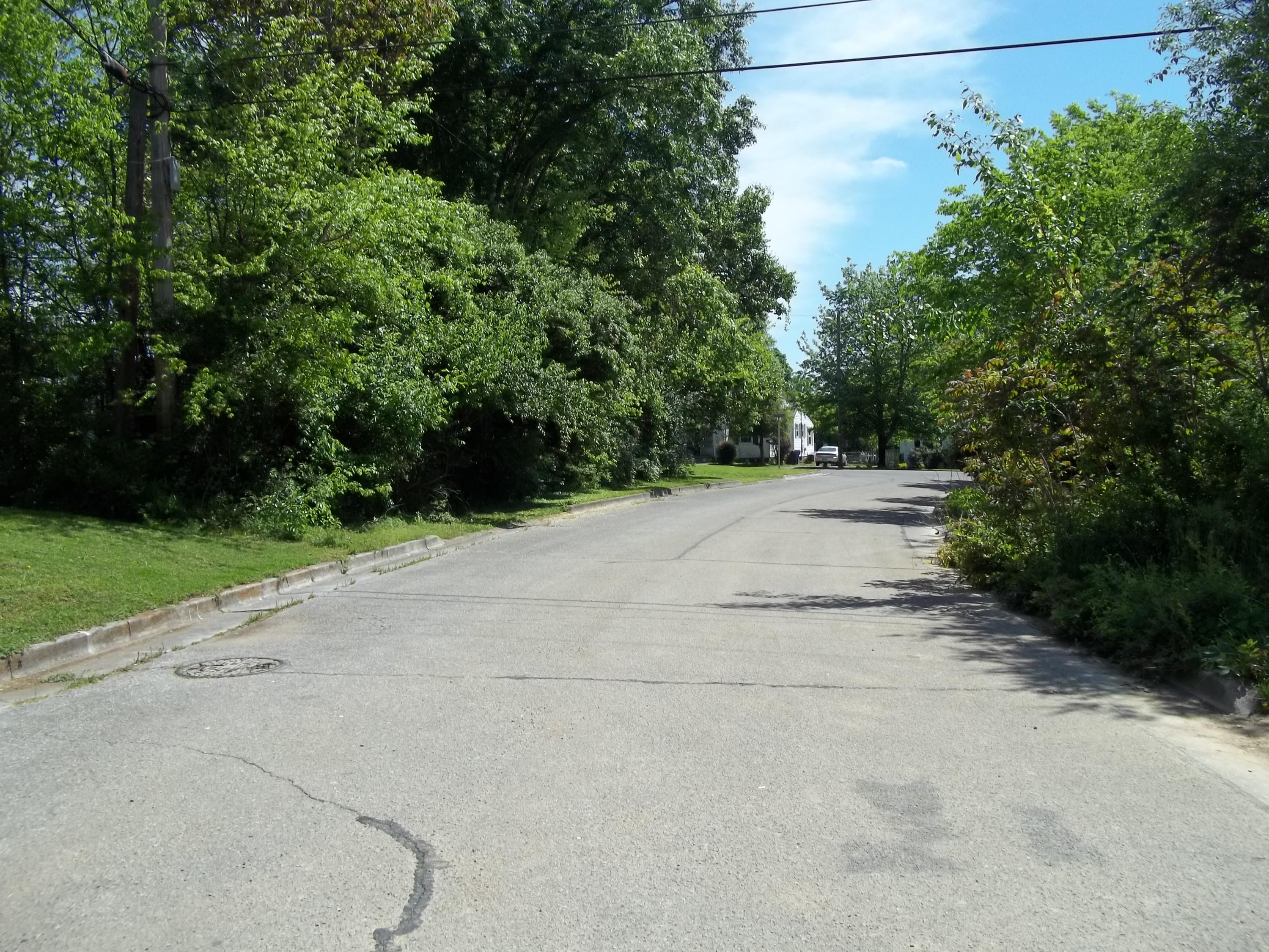 852 Brewster Road Alcoa, TN 37701 - Photo 16 of 17 View down the street