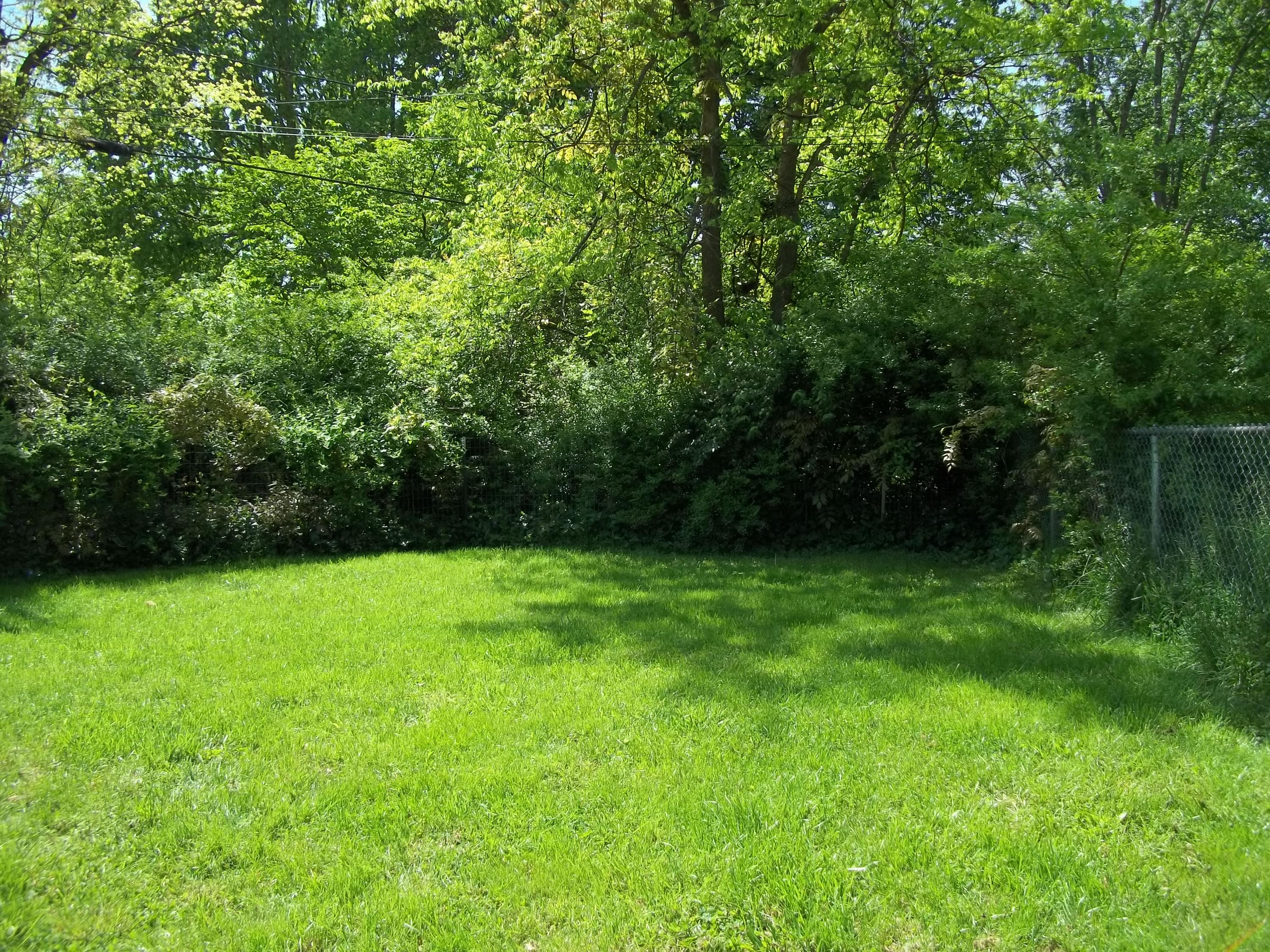 852 Brewster Road Alcoa, TN 37701 - Photo 3 of 17 Back yard