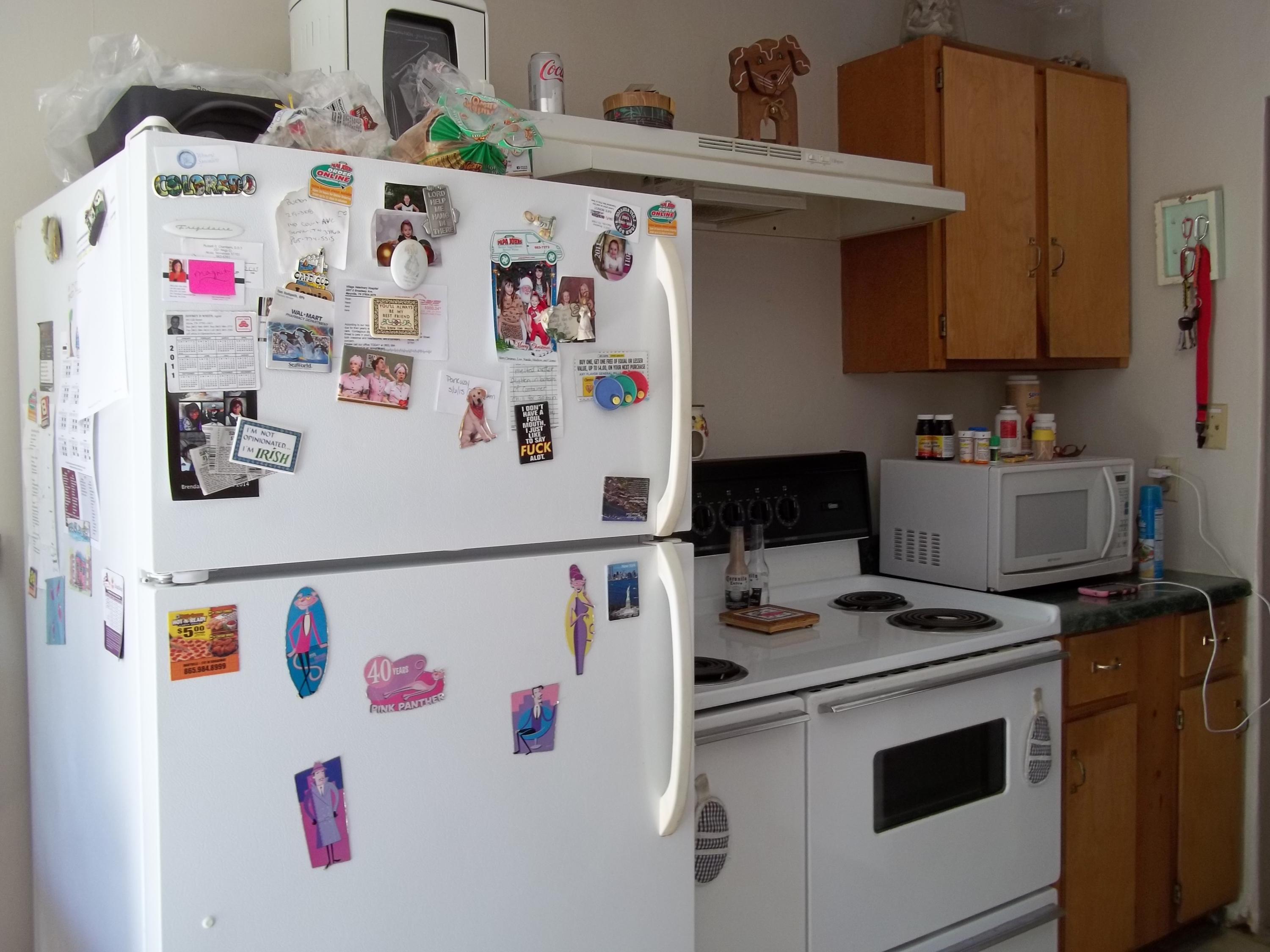 852 Brewster Road Alcoa, TN 37701 - Photo 6 of 17 Kitchen